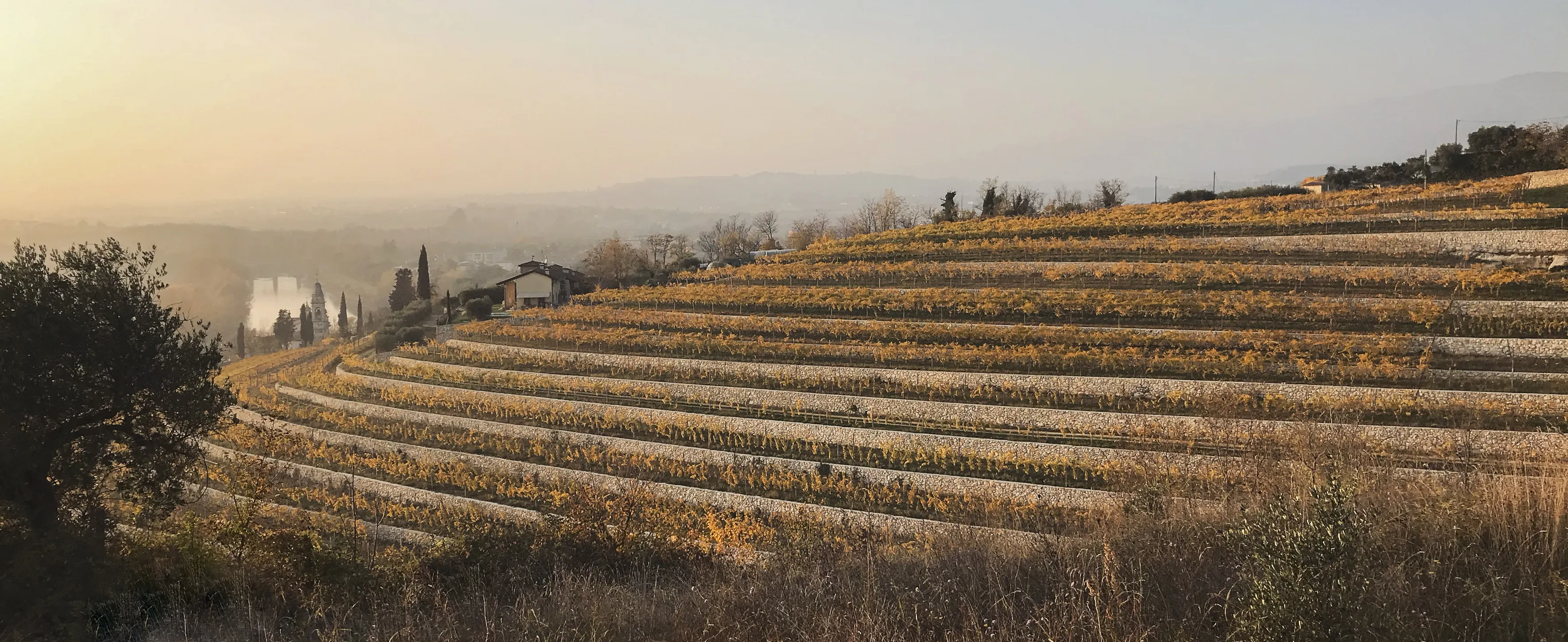 Immagine collina