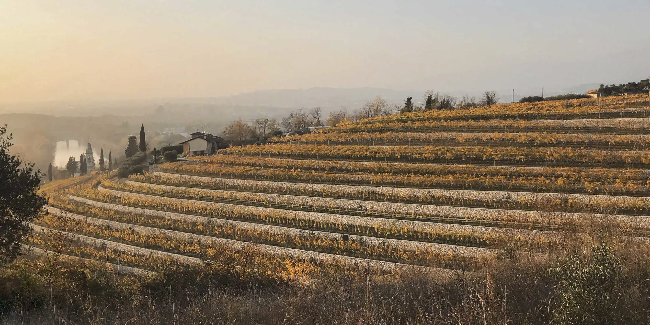 Immagine collina